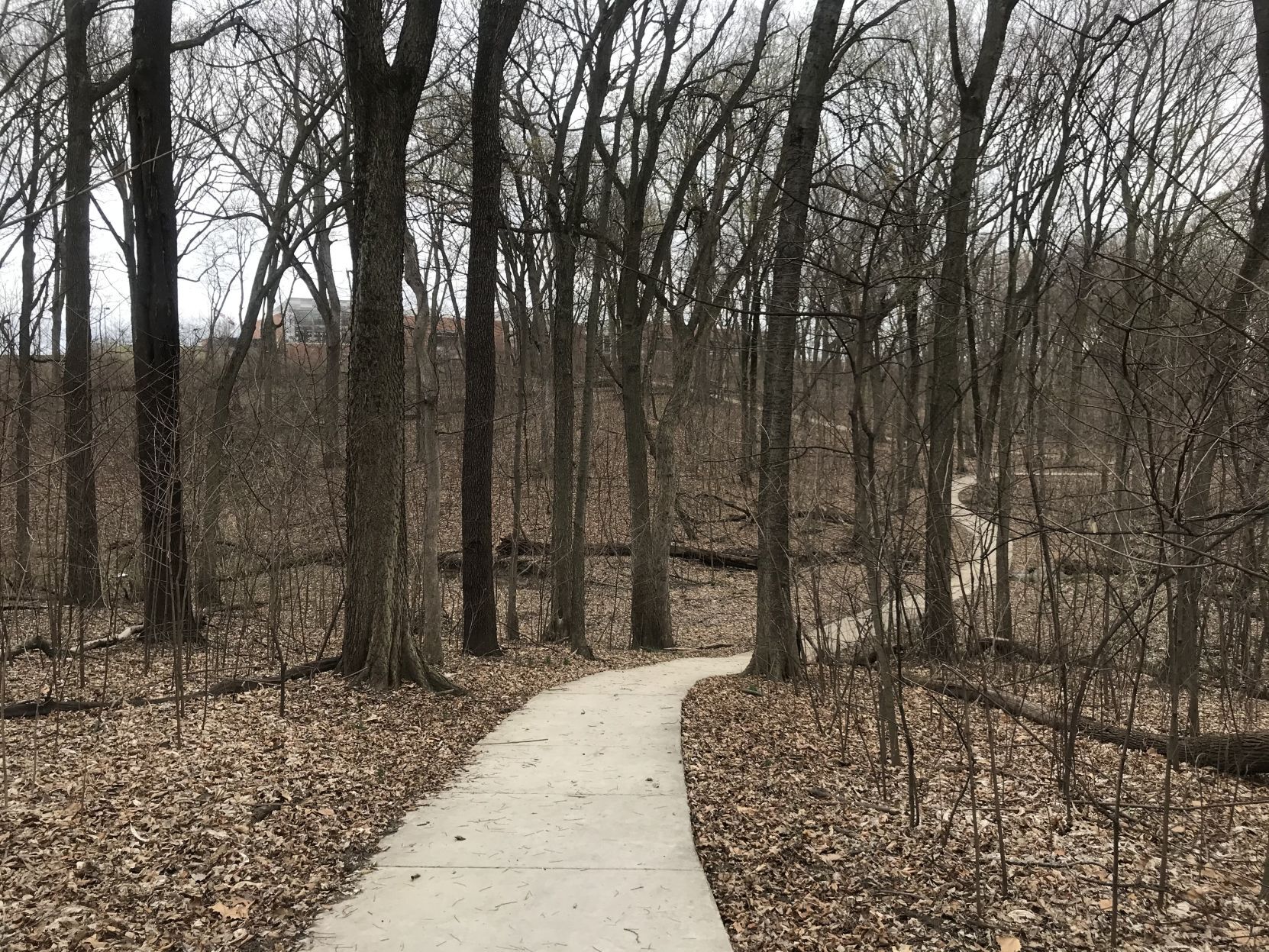 Hickory Woods Conservation Area